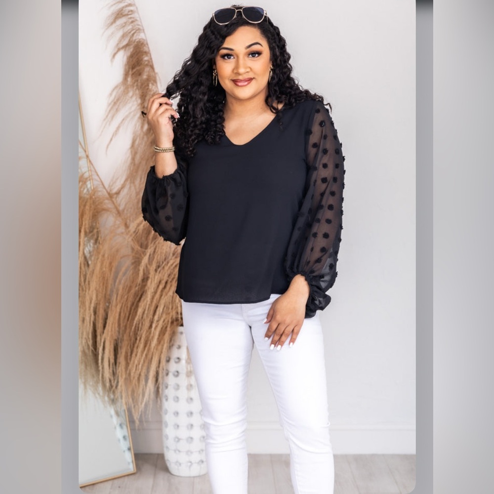 Pink Lily Black V-Neck Blouse with Sheer Sleeves